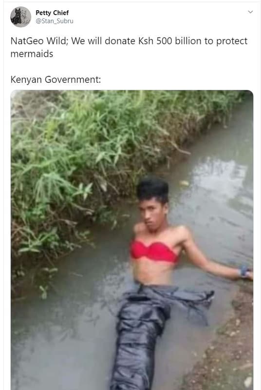 Petty chief stan_subru natgeo wild we will donate ksh 500 billion to protect mer