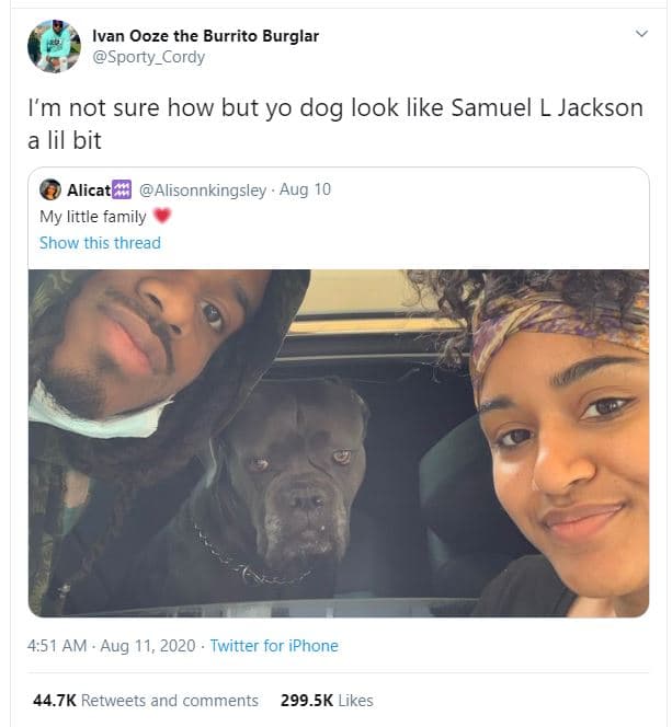 Ivan ooze the burrito burglar sporty_cordy im not sure how but yo dog look like