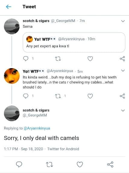 Tweet scotch cigars georgemm 7m sema yol wtf' aryannkinyua i0m any pet expert ap