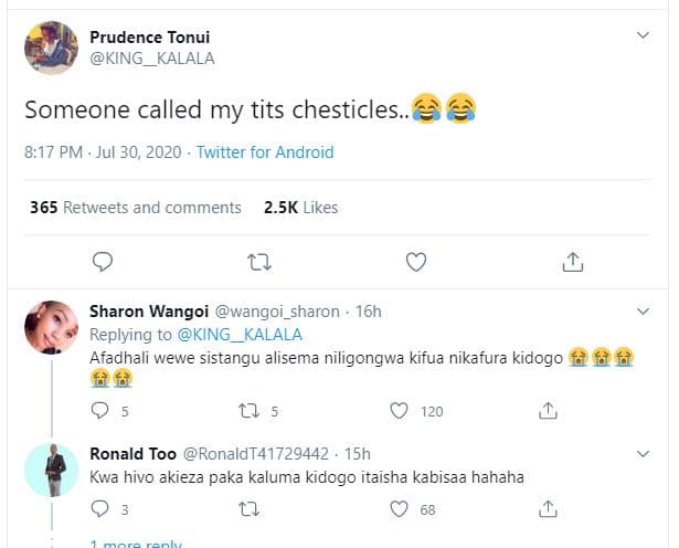 Prudence tonui king kalala someone called my tits chesticles.. 8,17 pm . jul 30,