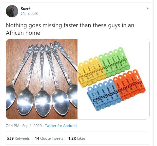 Sucré odaf3 nothing goes missing faster than these guys in an african home 7,14