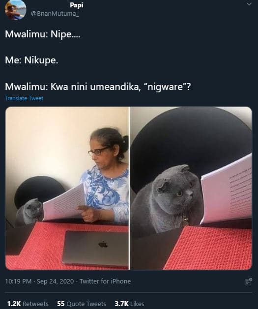 Papi brianmutuma mwalimu nipe_ me nikupe. mwalimu kwa nini umeandika nigware? tr