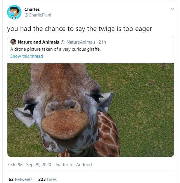 Charles charlieflani you had the chance to say the twiga is too eager nature and