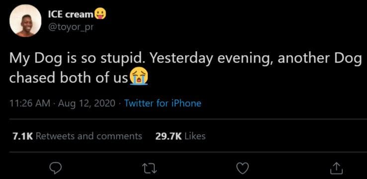 Ice cream toyor_pr my dog is so stupid yesterday evening another dog chased both