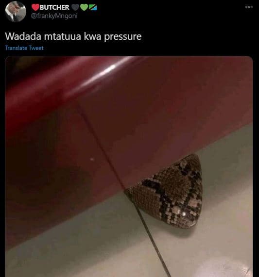 Butcher frankymngoni wadada mtatuua kwa pressure translate tweet