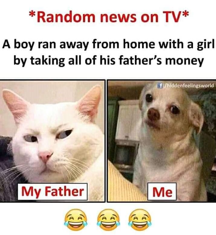 'random news on tv a boy ran away from home with a girl by taking all of his fat