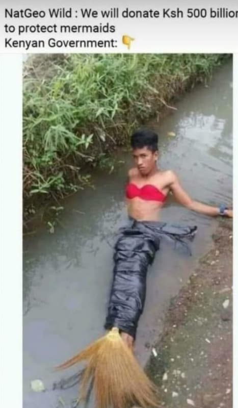 Natgeo wild we will donate ksh 500 billior to protect mermaids kenyan government