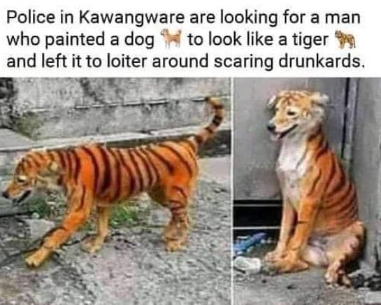 Police in kawangware are looking for a man who painted a dog to look like a tige
