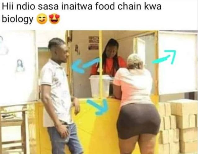Hii ndio sasa inaitwa food chain kwa biology
