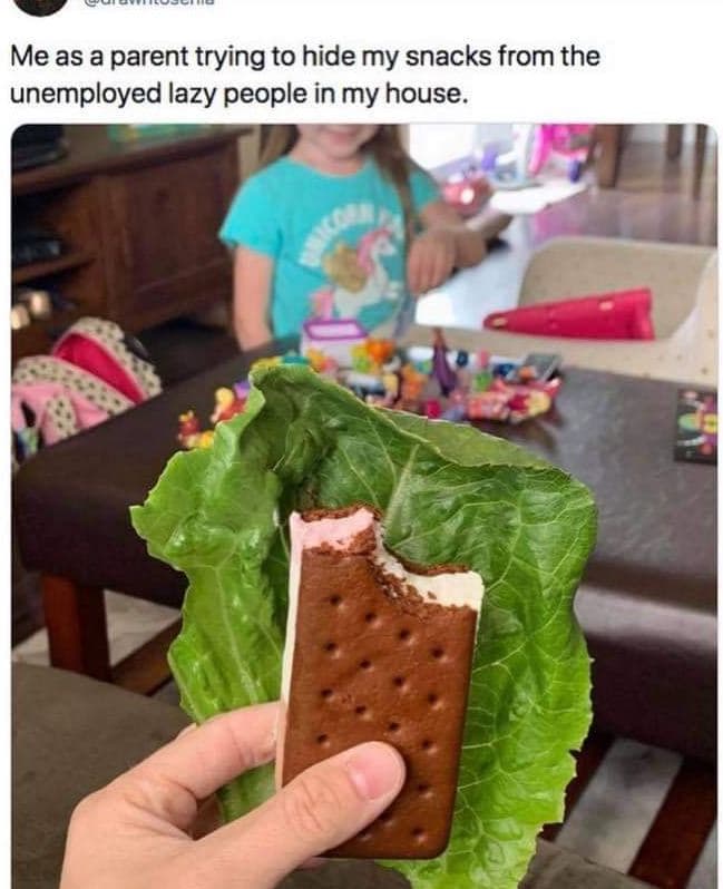 Me as a parent trying to hide my snacks from the unemployed lazy people in my ho