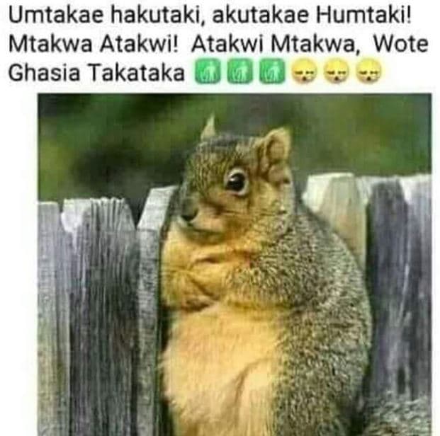 Umtakae hakutaki, akutakae humtaki! mtakwa atakwi! atakwi mtakwa, wote ghasia ta