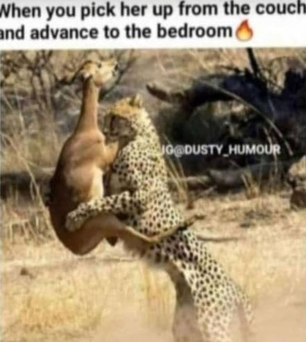 Nhen you pick her up from the couch nd advance to the bedroom iodusty_humour
