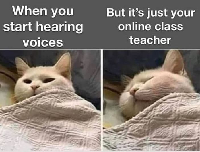 When you start hearing voices but its just your online class teacher