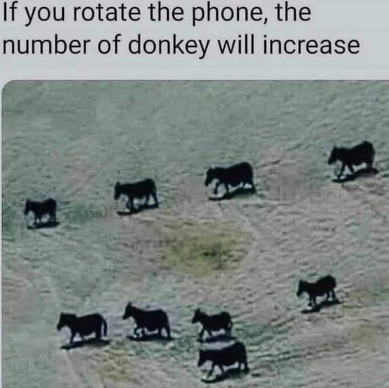 If you rotate the phone the number of donkey will increase 1l2