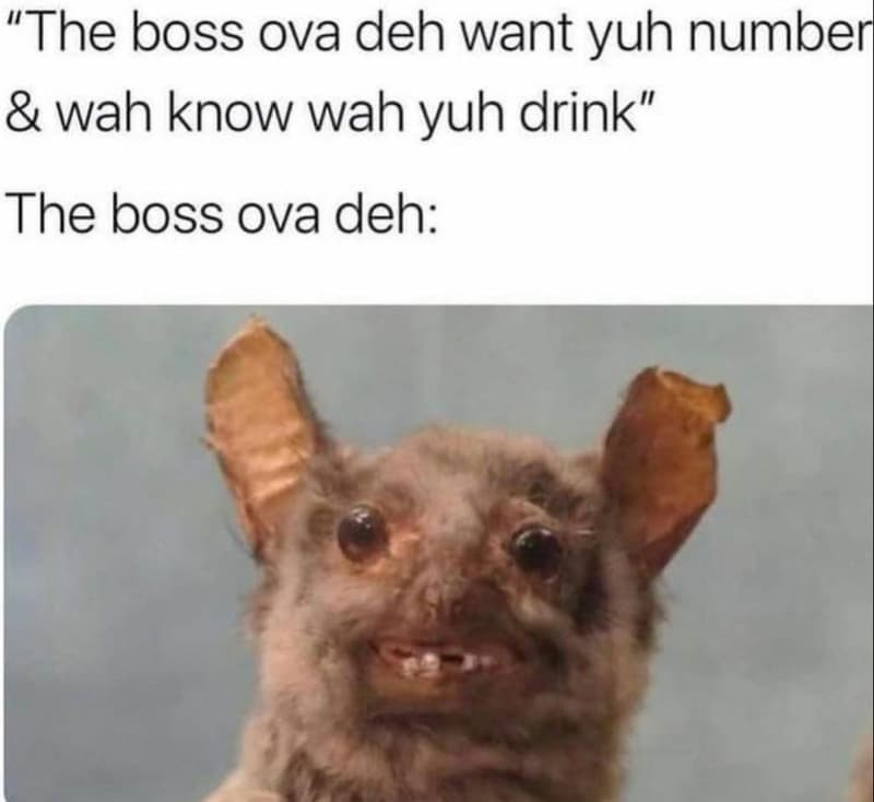 The boss ova deh want yuh number wah know wah yuh drink the boss ova deh