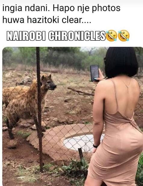 Ingia ndani. hapo nje photos huwa hazitoki clear._ mairob ghromigzes