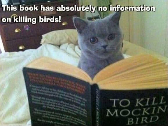 This book has absolutely no informatloi on ıkilling birdsl to kill mockin bird