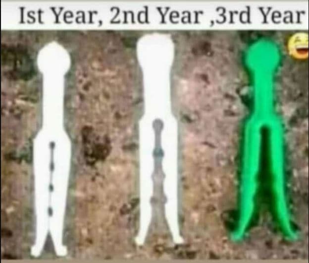 Ist year, 2nd year ,3rd yearl