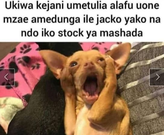 Ukiwa kejani umetulia alafu uone mzae amedunga ile jacko yako na ndo iko stock y