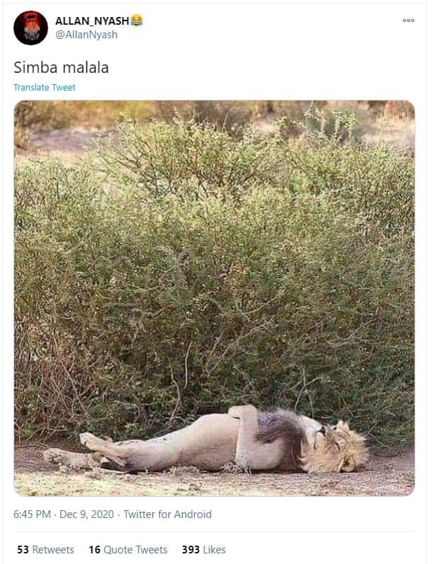 Allan_nyash allannyash simba malala translate twveet 6,45 pm dec 9 twitter for a
