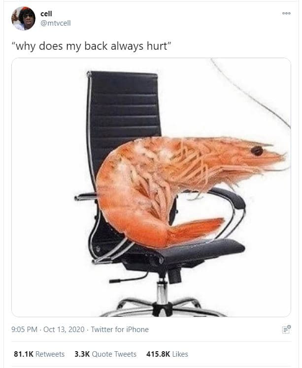 Cell mtvcell 'why does my back always hurt 9.05 pm oct 13, twitter for iphone 81