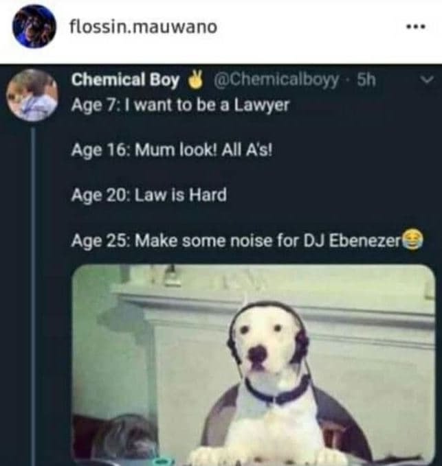 Flossin.mauwano chemical boy chemicalboyy sh age 7 want 10 be a lawyer age 16. m