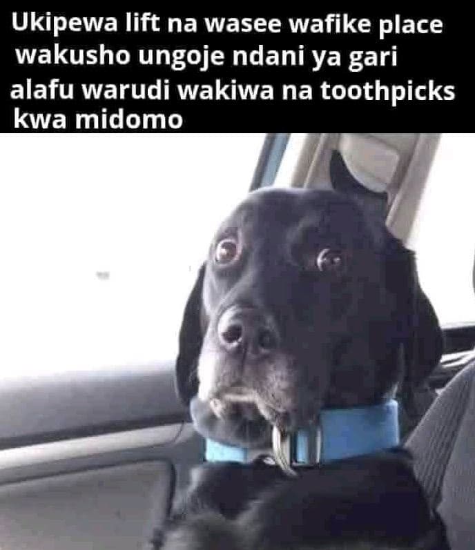 Ukipewa lift na wasee wafike place wakusho ungoje ndani ya gari alafu warudi wak