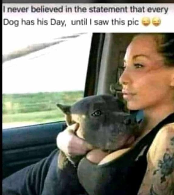 Never believed in the statement that every dog has his day until saw this pic