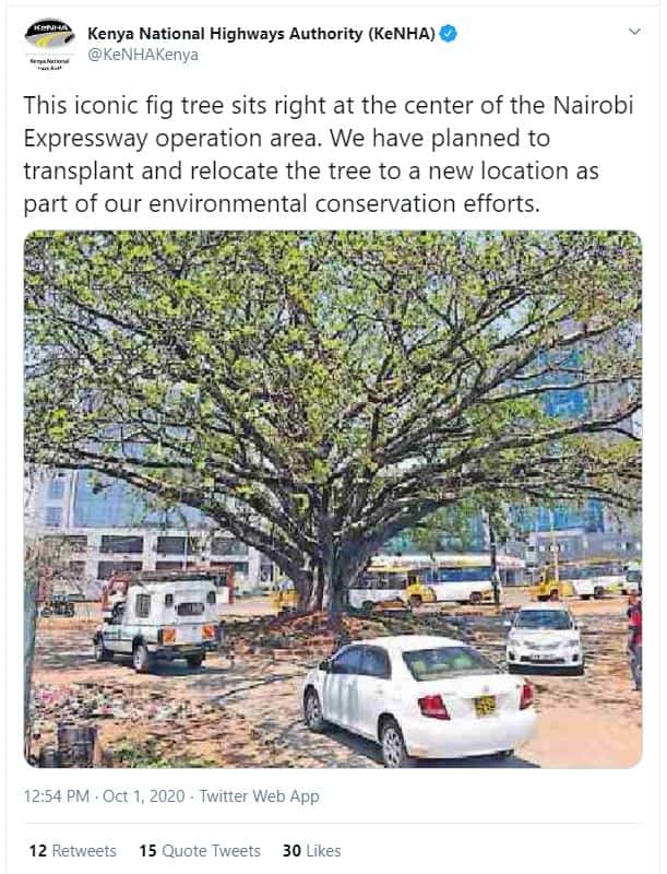Kenya national highways authority kenha kenhakenya this iconic fig tree sits rig