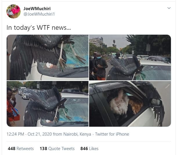 Joewmuchiri joewmuchiri1 in today's wtf news. 12.24 pm oct 21, from nairobi keny