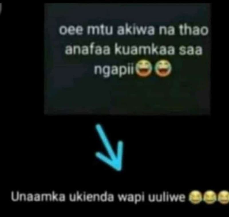 Oee miu akiwa na thao analaa kuamkaa saa ngapıl unaamka uklenda wapl uuliwe