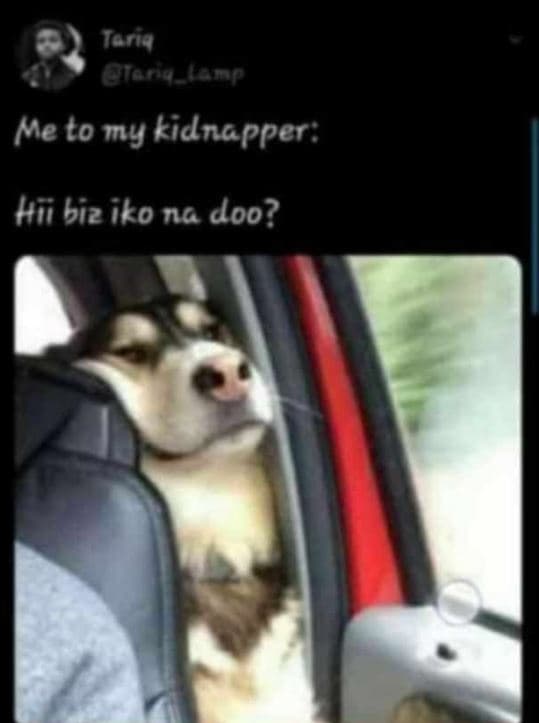 Tarid tadnn meto my kidnapper hii biz iko na doo?