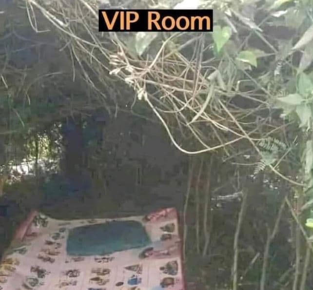 Vp room