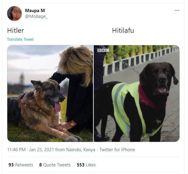 Msupa m mollage_ hitler translate tweet hitilafu bbg 11.46 pm jan 25, from nairo