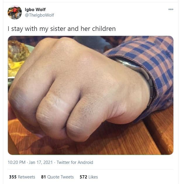 Igbo wolf thelgbowolf stay with my sister and her children 10.20 pm jan 17, twit