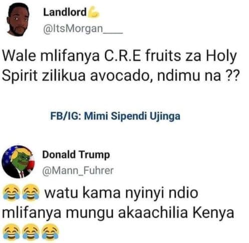 Landlord itsmorgan wale mlifanya c.re fruits za holy spirit zilikua avocado ndim