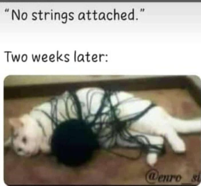 No strings attached. two weeks later euro