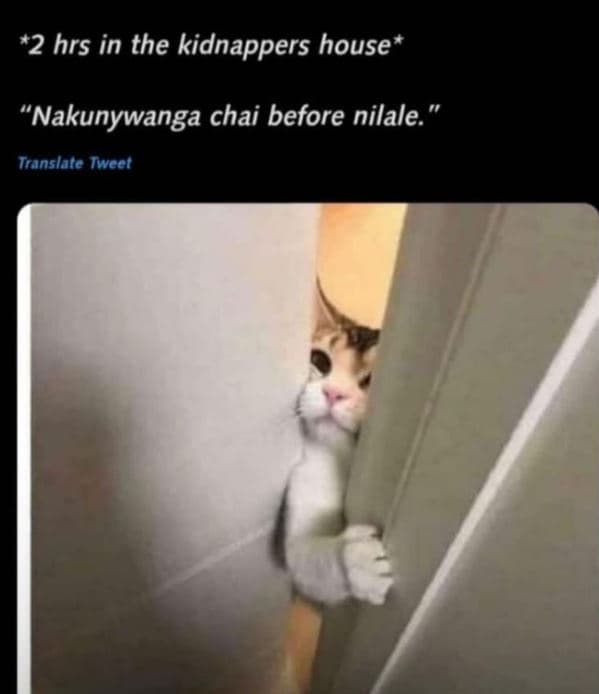 2 hrs in the kidnappers house nakunywanga chai before nilale. translare twcet