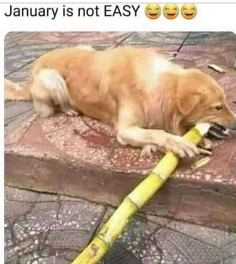 January is not easy