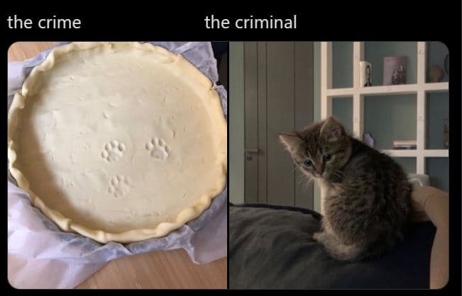 The crime the criminal