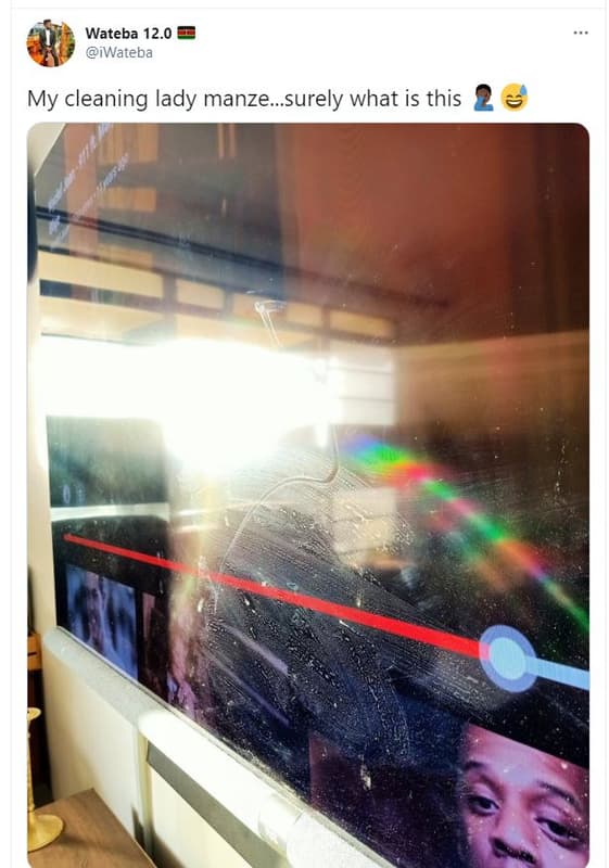 Wateba 12.0 iwateba my cleaning lady manze_surely what is this