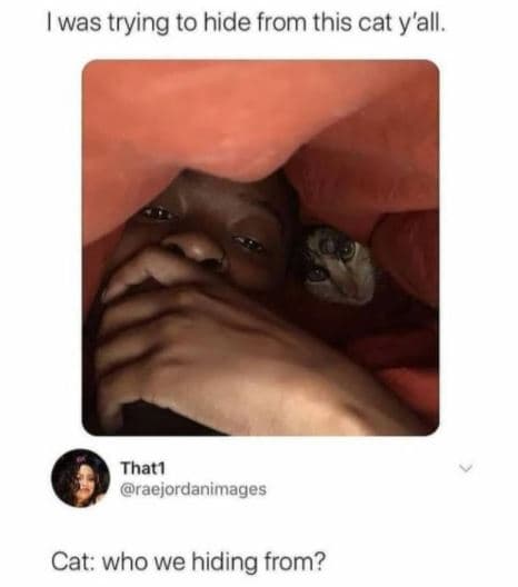 Was trying to hide from this cat y'all. that1 raejordanimages cat who we hiding