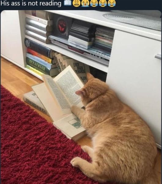 His ass is not reading