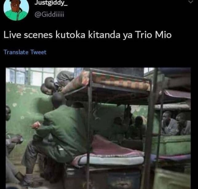 Justgiddy _ giddiiiii live scenes kutoka kitanda ya trio mio translate tweet
