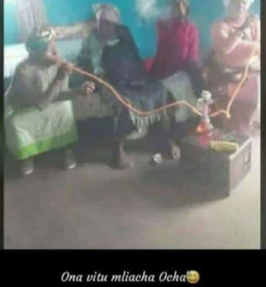 Ona vitu mliacha ocha