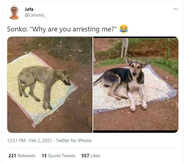 Jefa limorio_ sonko why are you arresting me? 12.51 pm feb 2, twitter for iphone