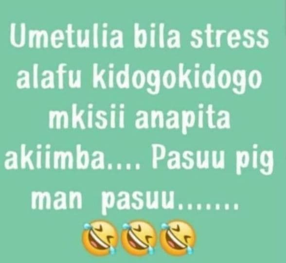 Umetulia bila stress alafu kidogokidogo mkisii anapita akiimba.. pasuu pig man p
