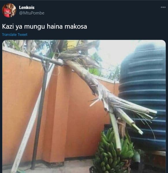 Lenkois mtupombe kazi ya mungu haina makosa translate tweet