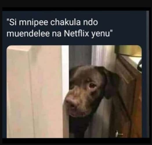 Si mnipee chakula ndo muendelee na netflix yenu