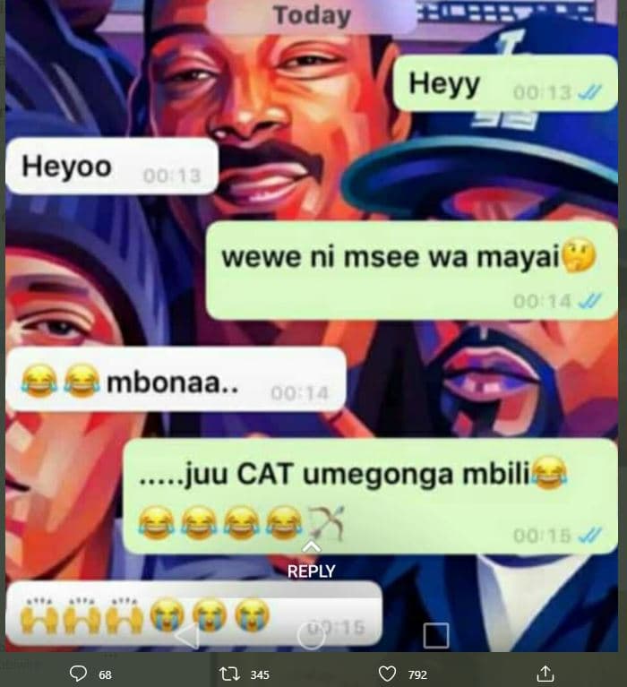 Today heyy 00 13 heyoo oo wewe ni msee wa mayai 0o 14 mbonaa.. 0o1a juu cat umeg